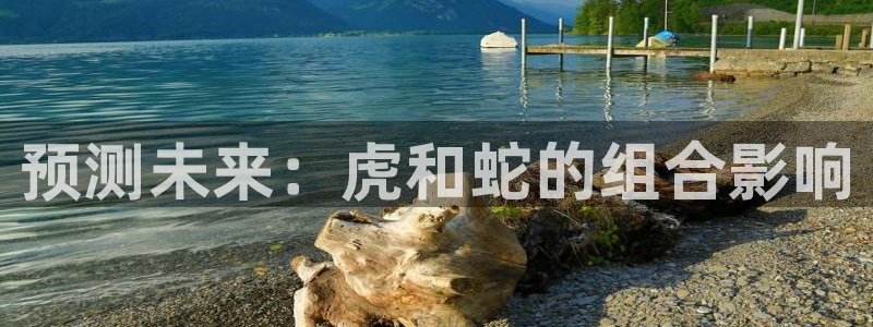 壹号电子娱乐app下载安装最新版本