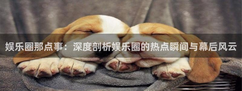 壹号app下载链接