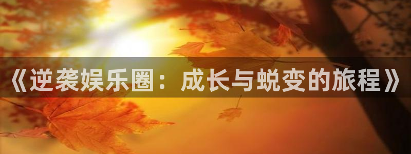 壹号娱乐app网页入口