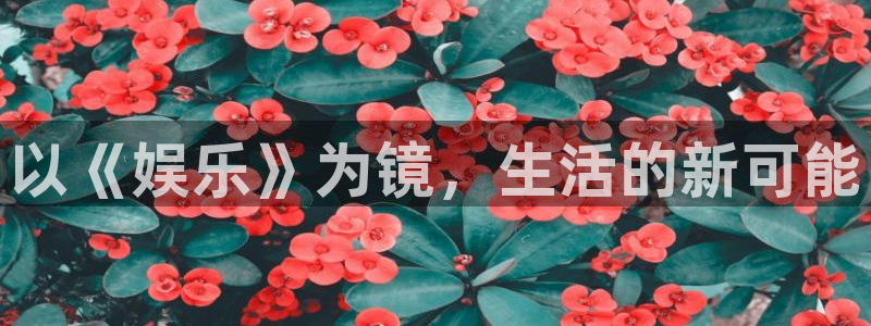 壹号大舞台