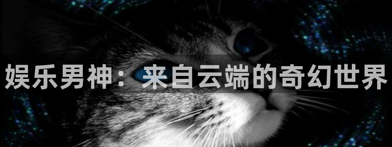 壹号app官方登录入口下载