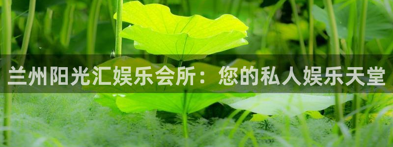 壹号娱乐官网