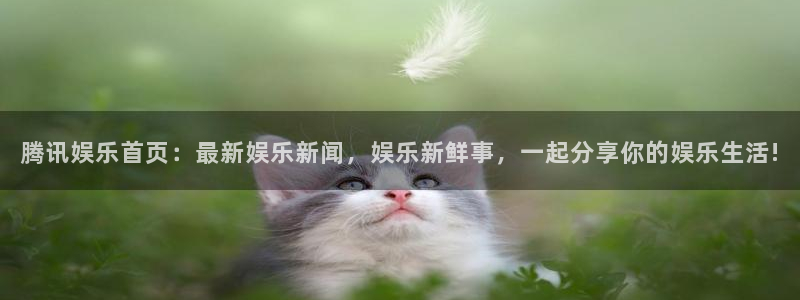 壹号娱乐电子游戏官网