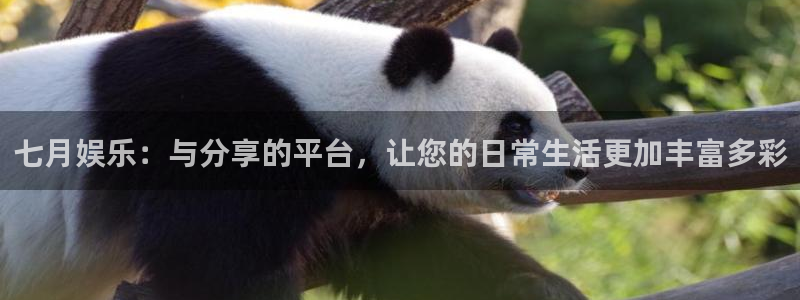 壹号娱乐官方网站下载