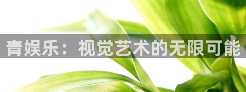 壹号娱乐app网页入口