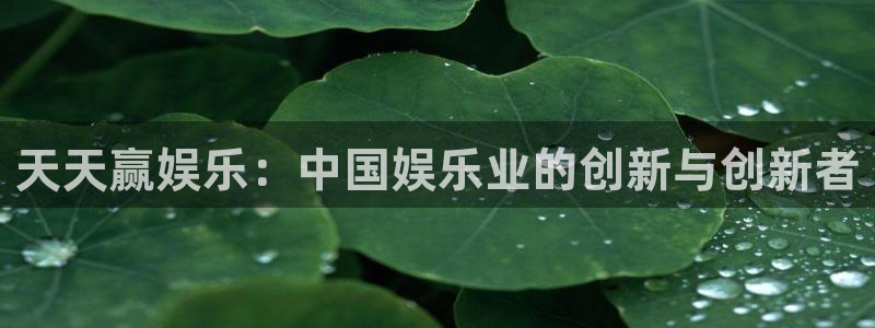 壹号娱乐app入口