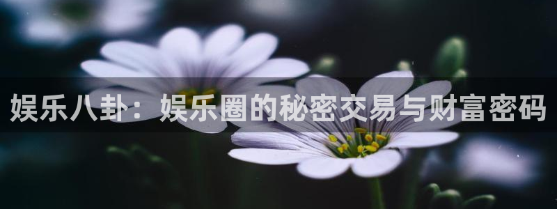 壹号娱乐app网页入口：娱乐八卦：娱乐圈的秘密交易与财富密码
