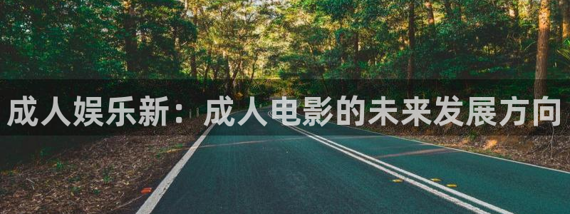 壹号平台下载：成人娱乐新：成人电影的未来发展方向