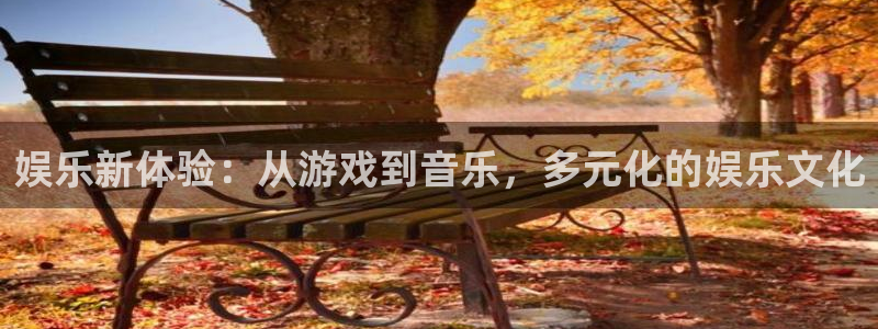 壹号大舞台有梦你就来：娱乐新体验：从游戏到音乐，多元化的娱乐文化