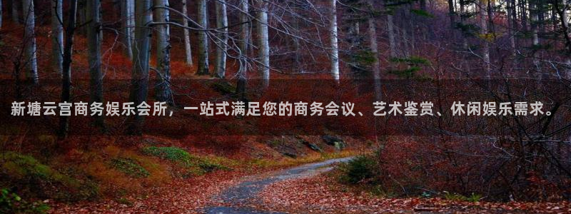 壹号大舞台有梦你就来：新塘云宫商务娱乐会所，一站式满足您的商务会议、艺术鉴赏、休闲娱乐需求。