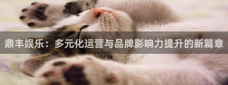 壹号app官方登录入口下载：鼎丰娱乐：多元化运营与品牌影响力提升的新篇章