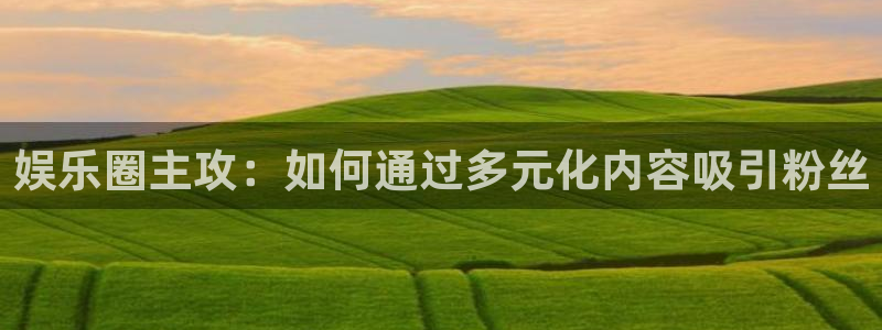壹号电子娱乐app下载：娱乐圈主攻：如何通过多元化内容吸引粉丝
