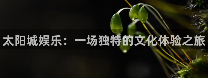 壹号娱乐吧：太阳城娱乐：一场独特的文化体验之旅