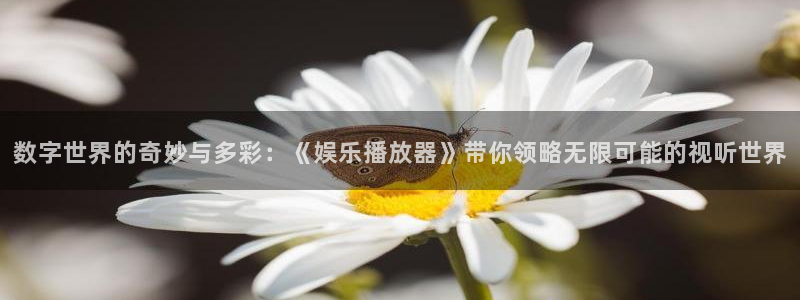 壹号娱乐,apk.1：数字世界的奇妙与多彩：《娱乐播放器》带你领略无限可能的视听世界